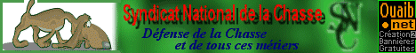 BNR_sncc6.gif